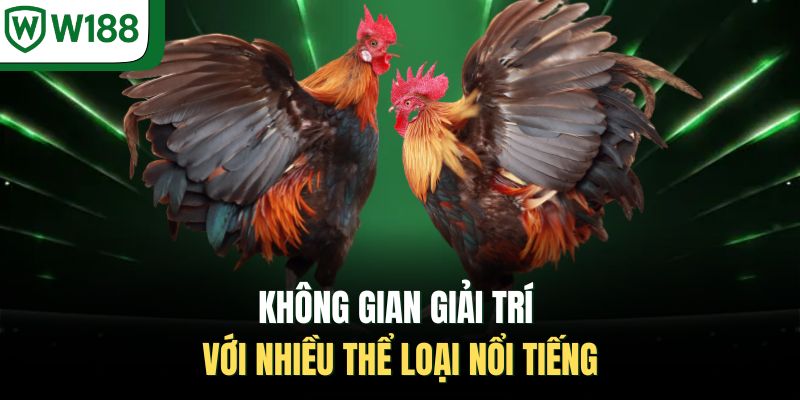 Không gian giải trí với nhiều thể loại nổi tiếng 