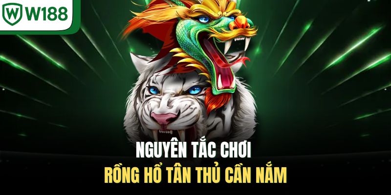 Nguyên tắc chơi Rồng Hổ tân thủ cần nắm