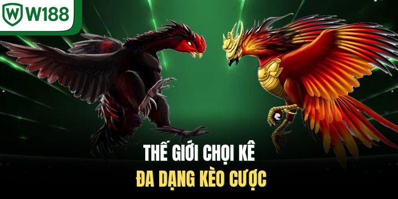 Thế giới chọi kê đa dạng kèo cược 